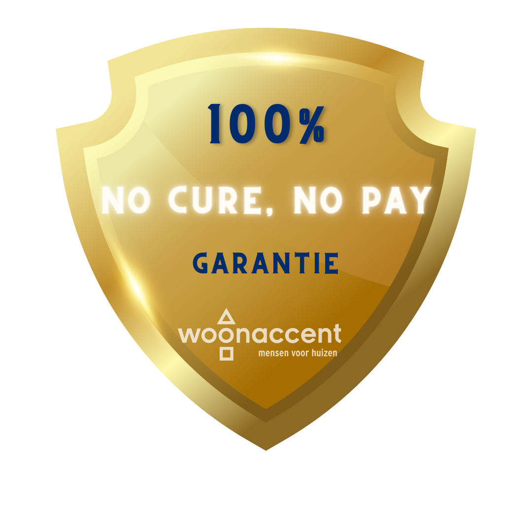 No Cure no pay