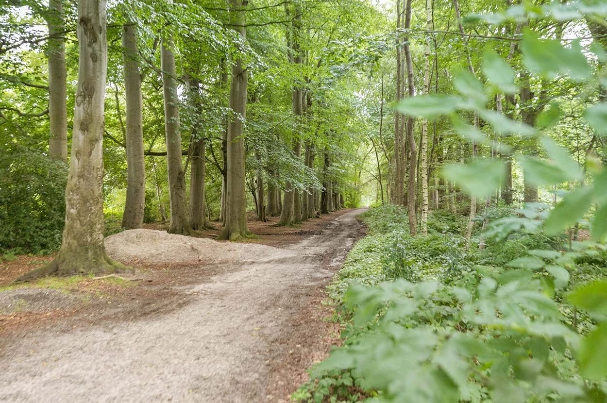 Kortehemmen Bos