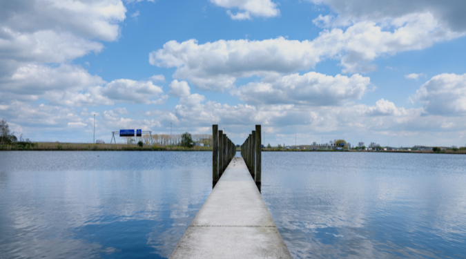 Zijderveld afbeelding