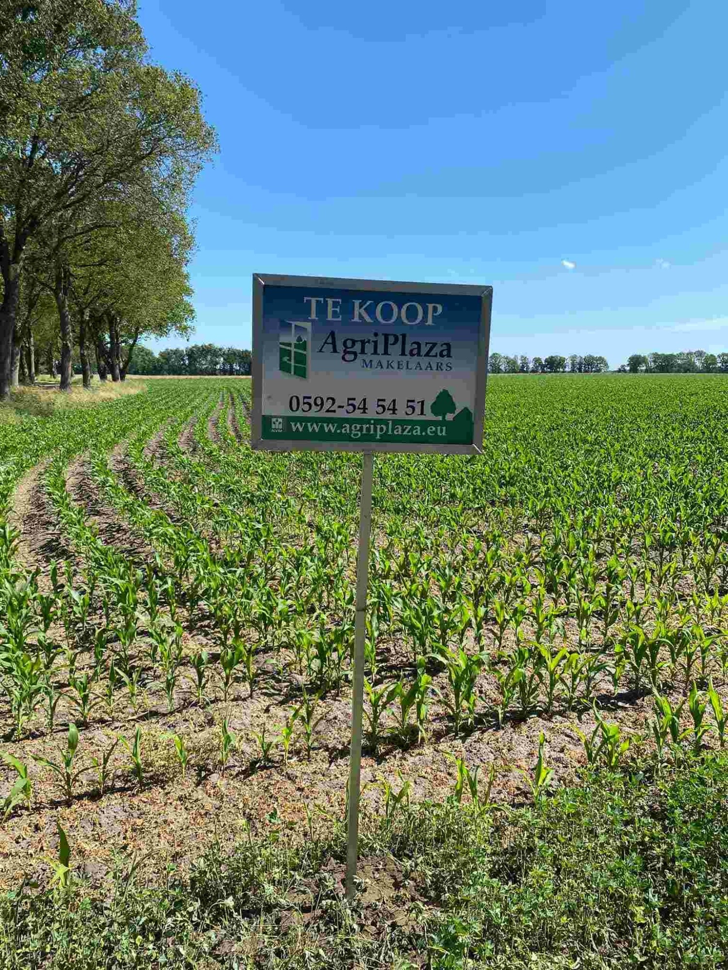 Landbouwgrond in de verkoop Agri Plaza Makelaars Landbouwgrond in de verkoop Agri Plaza Makelaars