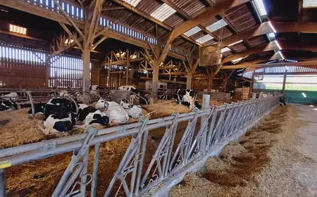 Orne, Normandië, Frankrijk