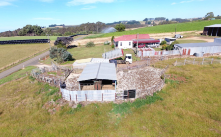 245 Smarts Road Mount Hicks TAS 7325, Australië