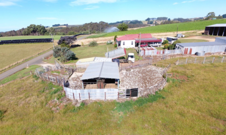 245 Smarts Road Mount Hicks TAS 7325, Australië