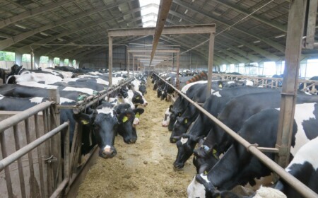 Dalsagervej 1 Dalsgårde, 8500 Grenaa, Denemarken