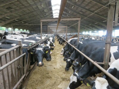 Dalsagervej 1 Dalsgårde, 8500 Grenaa, Denemarken