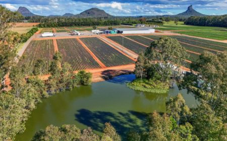 25 Pikes Road , Glass House Mountains, QLD 4518, Australië