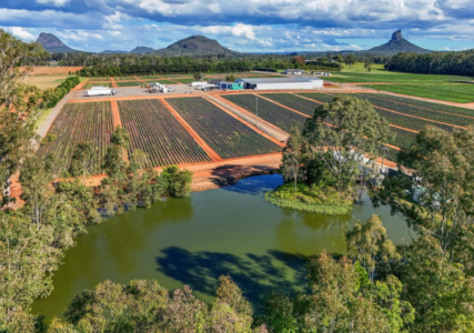 25 Pikes Road , Glass House Mountains, QLD 4518, Australië