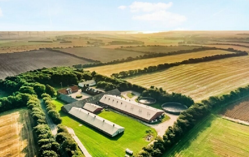 Brogårdsvej 3, 7755 Bedsted Thy, Denemarken