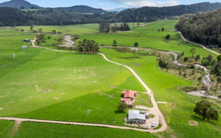 429 Maurice Road, Trenah TAS 7263, Australië