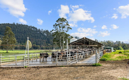 429 Maurice Road, Trenah TAS 7263, Australië
