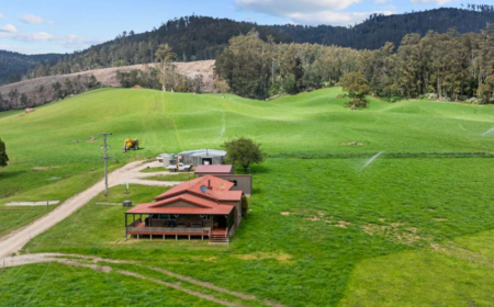 429 Maurice Road, Trenah TAS 7263, Australië