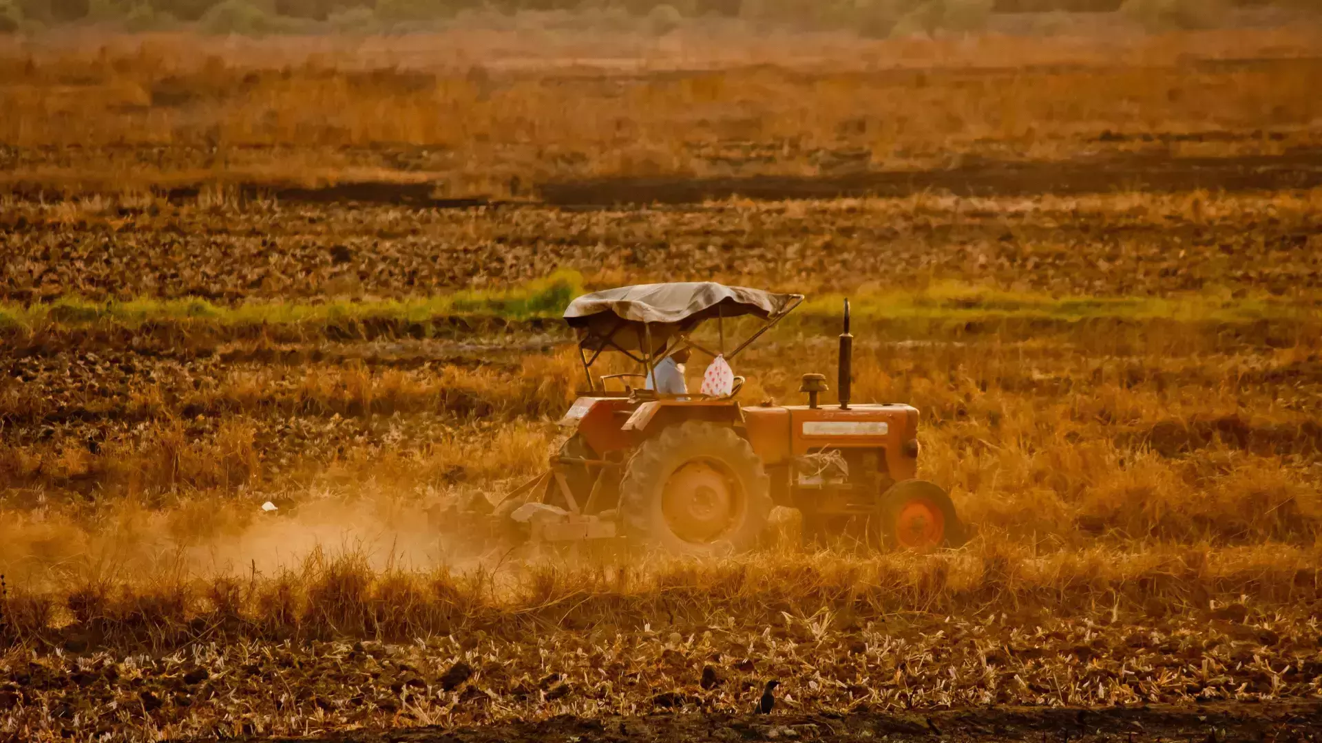 Emigratiebegeleiding voor agrarisch ondernemers Farms4 Sale