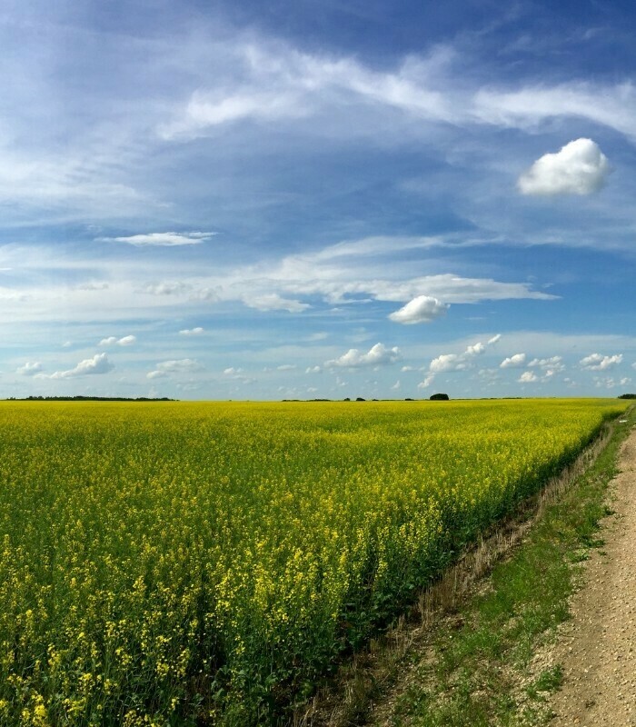 Canada Akkerbouw afbeelding1