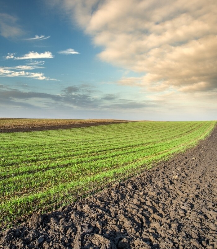 Farms4 Sale Denemarken Akkerbouw