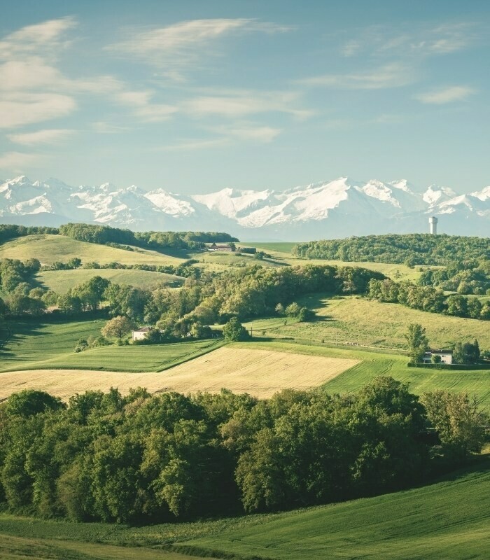 Frankrijk Agrarische sector afbeelding1